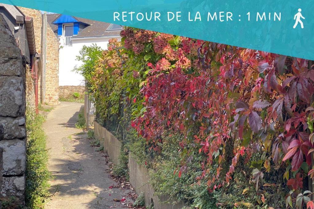 Ty Gavrinis - T2- Centre Bourg - 100M De La Mer Larmor-Baden Εξωτερικό φωτογραφία